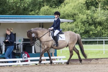 Bild 2 - Pony Akademie Turnier